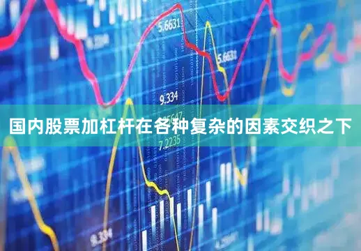 国内股票加杠杆在各种复杂的因素交织之下