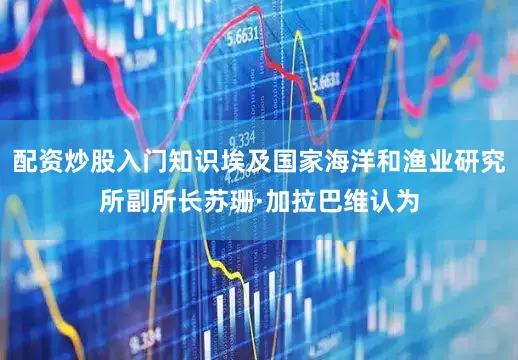 配资炒股入门知识埃及国家海洋和渔业研究所副所长苏珊·加拉巴维认为