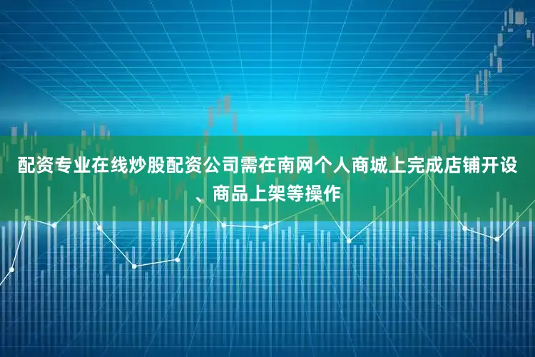 配资专业在线炒股配资公司需在南网个人商城上完成店铺开设、商品上架等操作